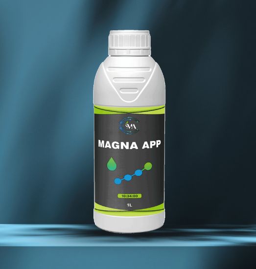 Magna App