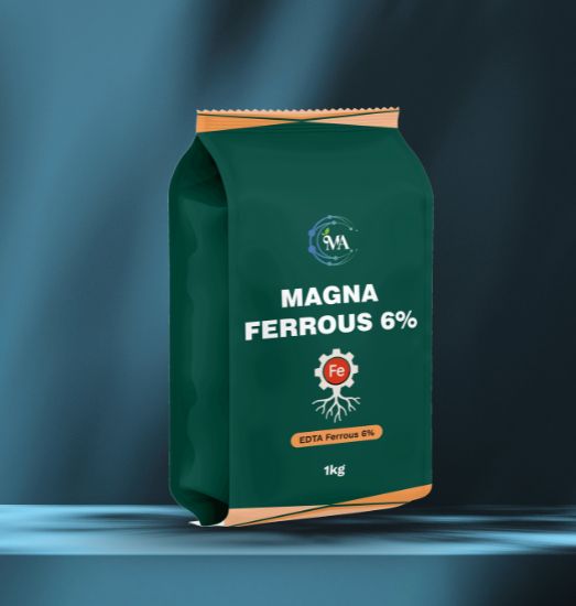 Magna Ferrous 6%