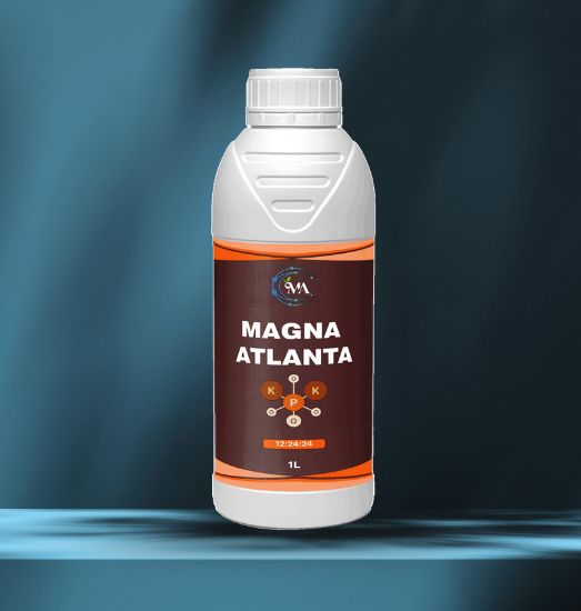 Magna Atlanta