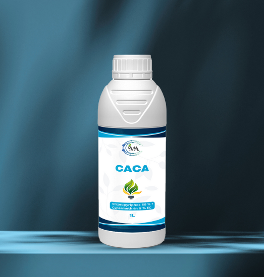 CACA