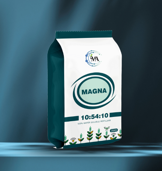 Magna 10.54.10