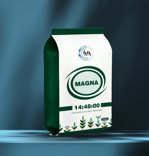 Magna 14.48.00