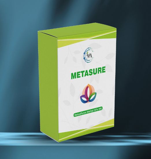 Metasure