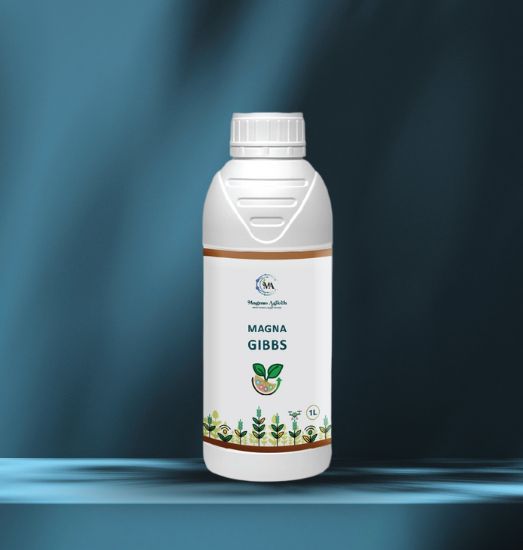 Magna GIBBS
