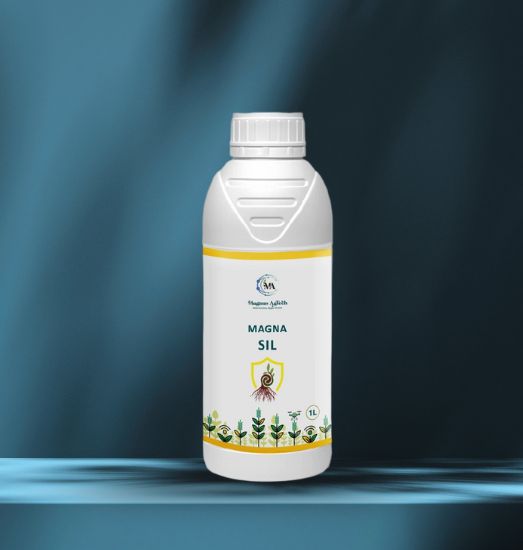 Magna Sil