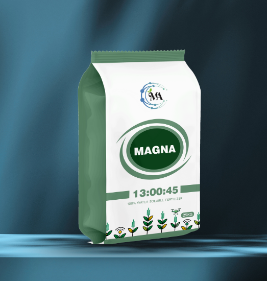 Magna 13:00:45