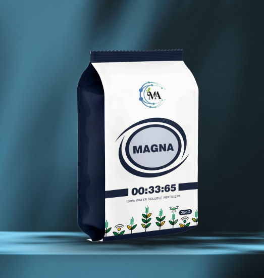 Magna 00.33.65