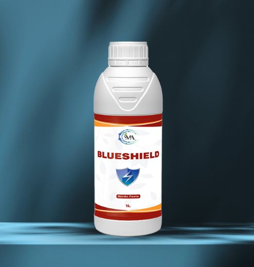 BlueShield