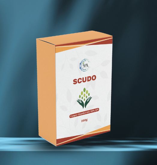 Scudo