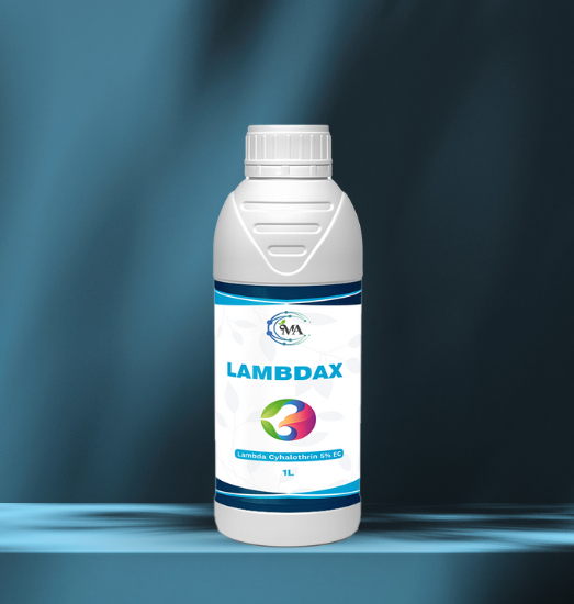 LambdaX