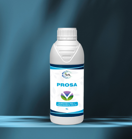 Prosa
