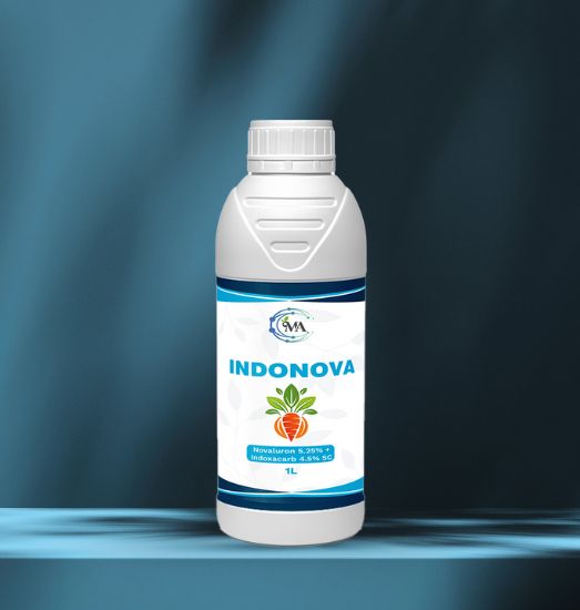 IndoNova