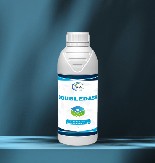 DoubleDash