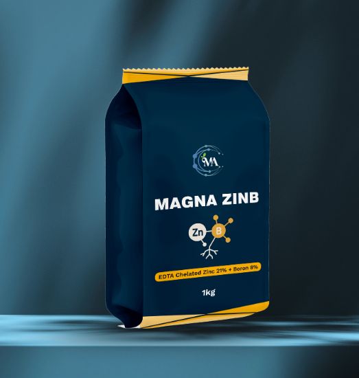 Magna ZinB