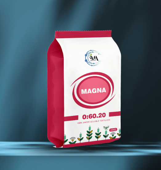 Magna 00:60:20