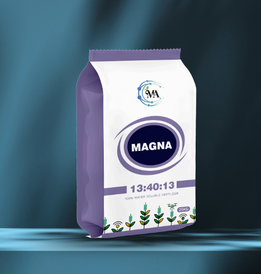 Magna 13:40:13