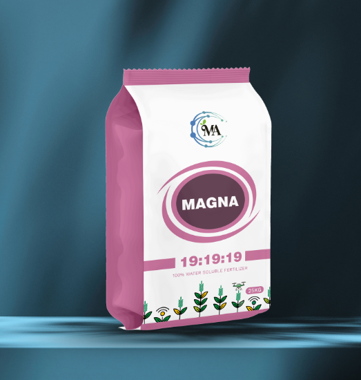 Magna 19:19:19