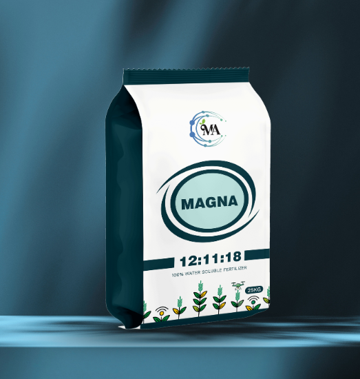 Magna 12:11:18