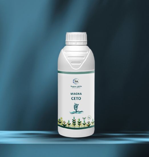 Magna CETO