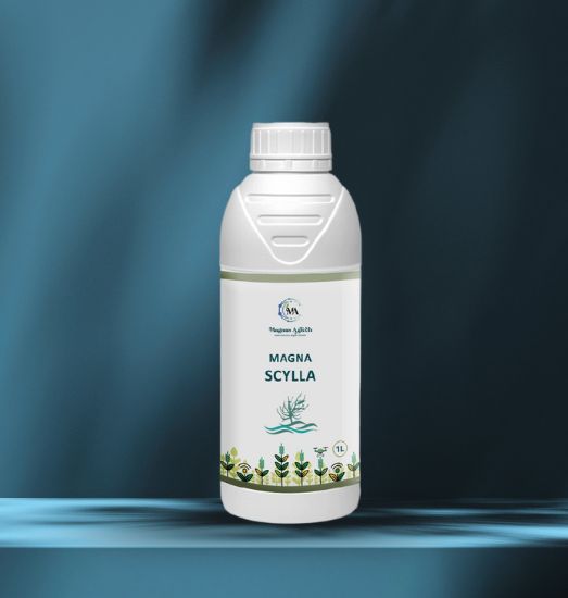Magna SCYLLA