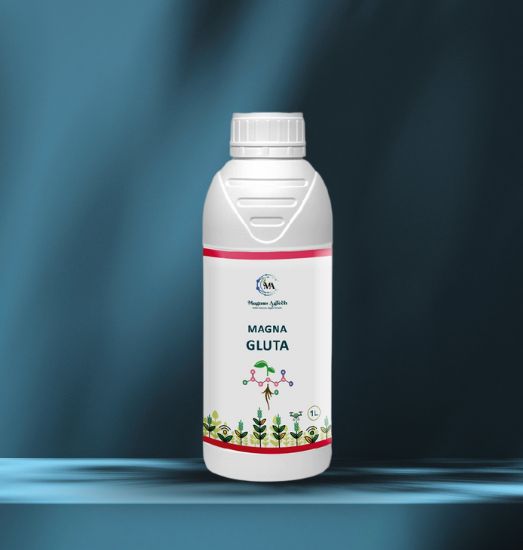 Magna Gluta