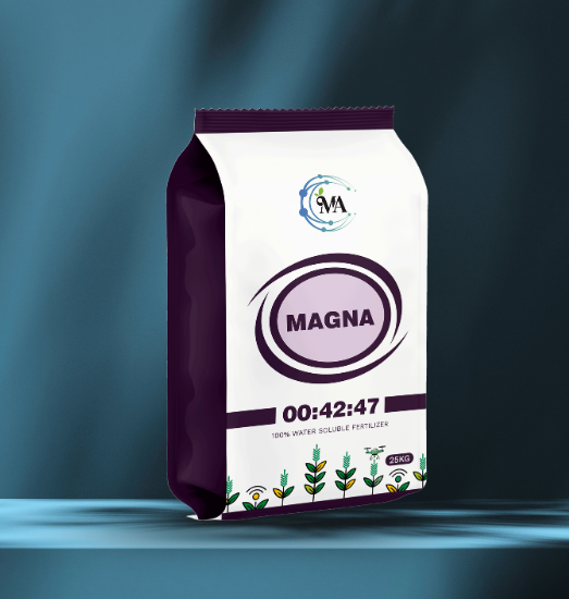Magna 00.42.47